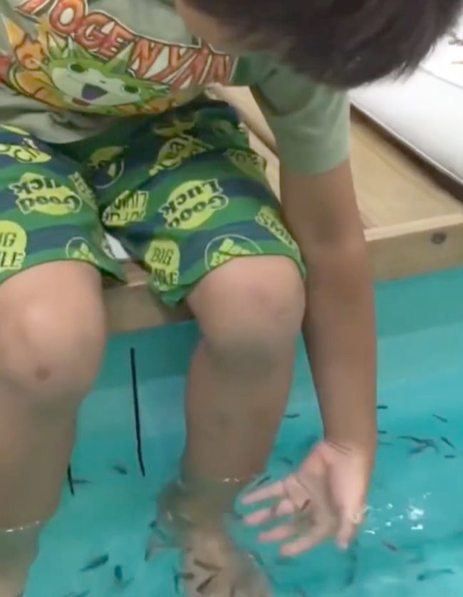 初めてのドクターフィッシュ。兄妹の初めて体験を比べてみたら