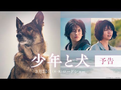 高橋文哉、伊藤健太郎から斡旋されたのは“危険な仕事”で…『少年と犬』最新予告映像が公開