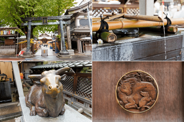 大人の学びにもご利益・開運あり♪ 2025年初詣に行きたい湯島天満宮