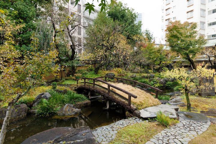 大人の学びにもご利益・開運あり♪ 2025年初詣に行きたい湯島天満宮