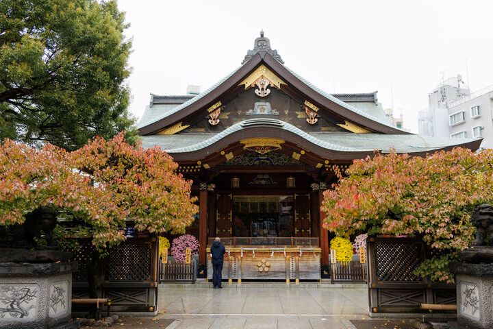 大人の学びにもご利益・開運あり♪ 2025年初詣に行きたい湯島天満宮