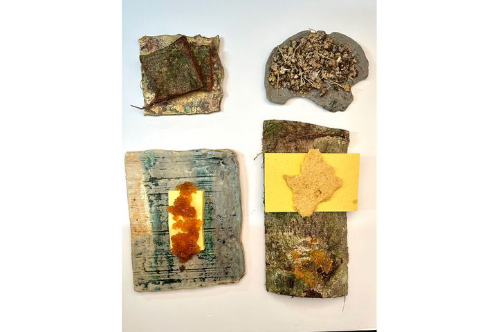 土地の起源を皿に表現した料理たち