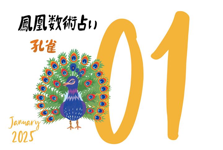 【今月の運勢】人気占い師・暮れの酉さんが観る2025年1月の運勢【鳳凰数術占い】