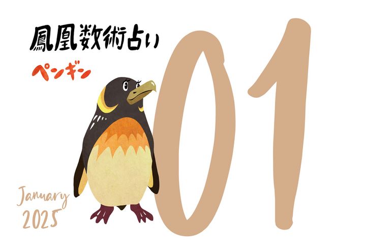 【今月の運勢】人気占い師・暮れの酉さんが観る2025年1月の運勢【鳳凰数術占い】