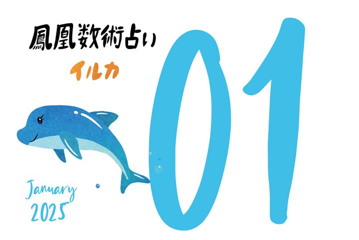【今月の運勢】人気占い師・暮れの酉さんが観る2025年1月の運勢【鳳凰数術占い】