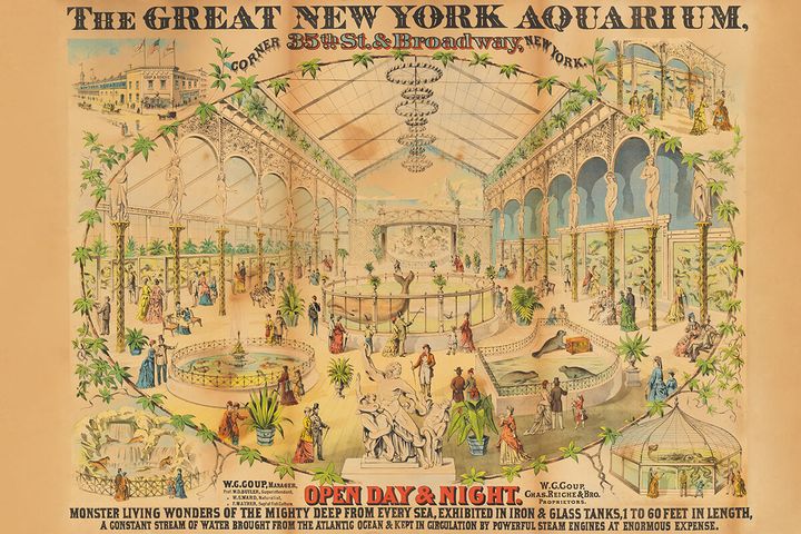 グレート・ニューヨーク水族館のイラスト（1876年）