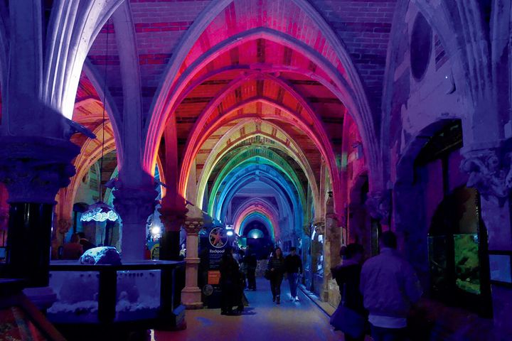 ブライトン水族館（1872年）