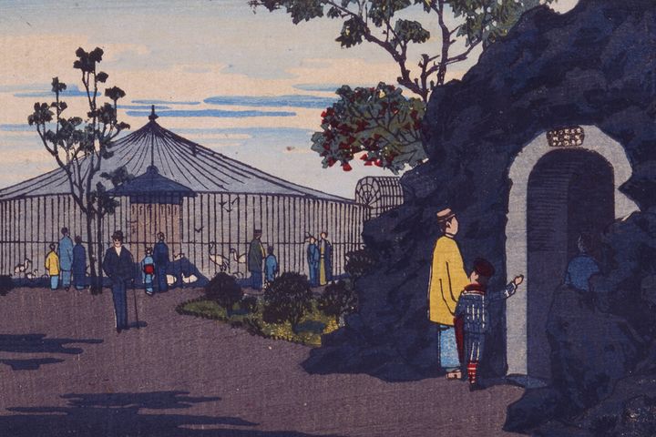 観魚室のイラスト （1882年）