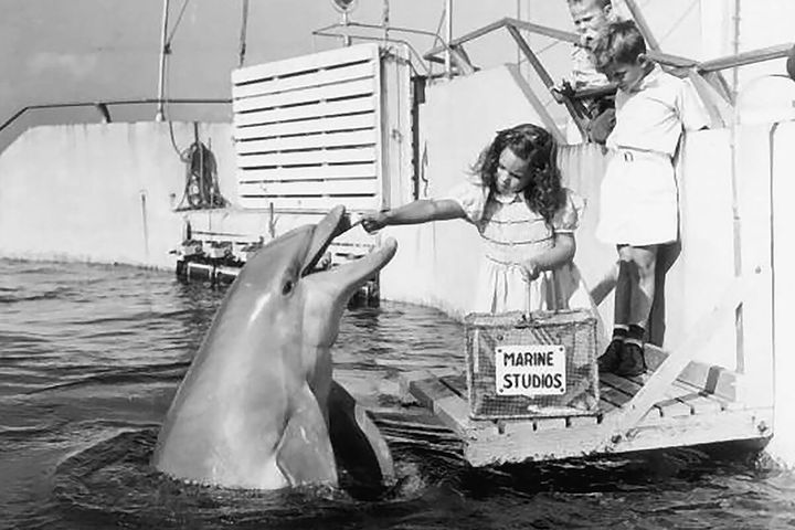 マリンスタジオ （1938年）