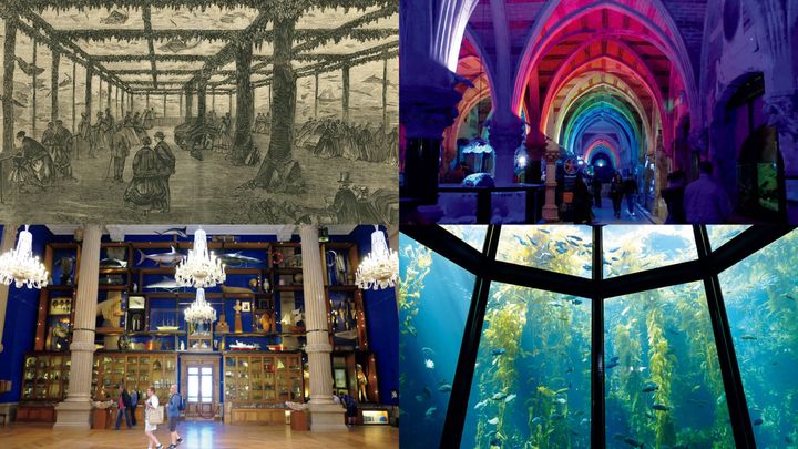 フランス・パリ万国博覧会付属の海水水族館のイラスト （1867年）、モナコ海洋博物館 付属水族館（1910年）、ブライトン水族館（1872年）、モントレーベイ水族館 （1984年）