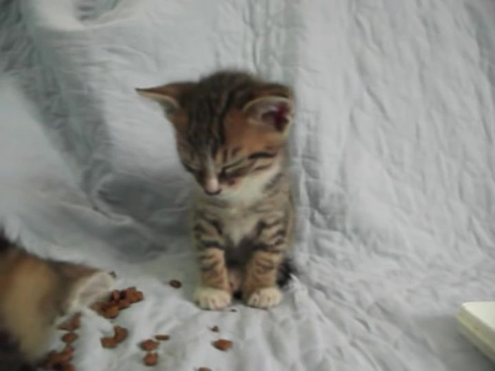 体がぐ〜らぐ〜ら…