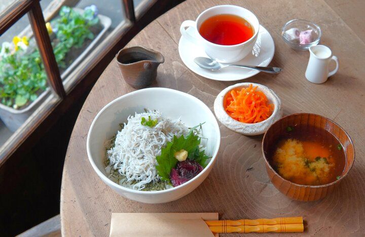 江の島で巳年ゆかりの弁財天様に開運祈願♪陽光きらめく初詣とカフェでほっこり過ごす新春