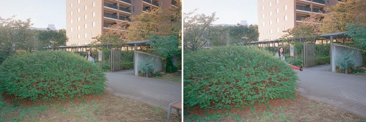 〈mood〉2024年秋の話【FUDGENA SPECIALIST：7Aのうれしいよそおい通信 vol.34】