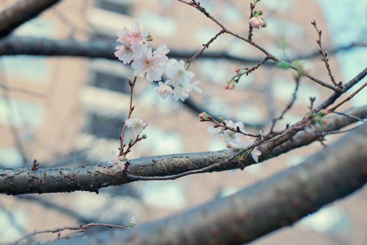 〈mood〉2024年秋の話【FUDGENA SPECIALIST：7Aのうれしいよそおい通信 vol.34】