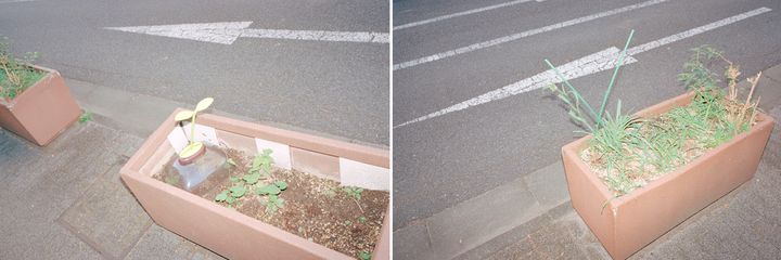 〈mood〉2024年秋の話【FUDGENA SPECIALIST：7Aのうれしいよそおい通信 vol.34】