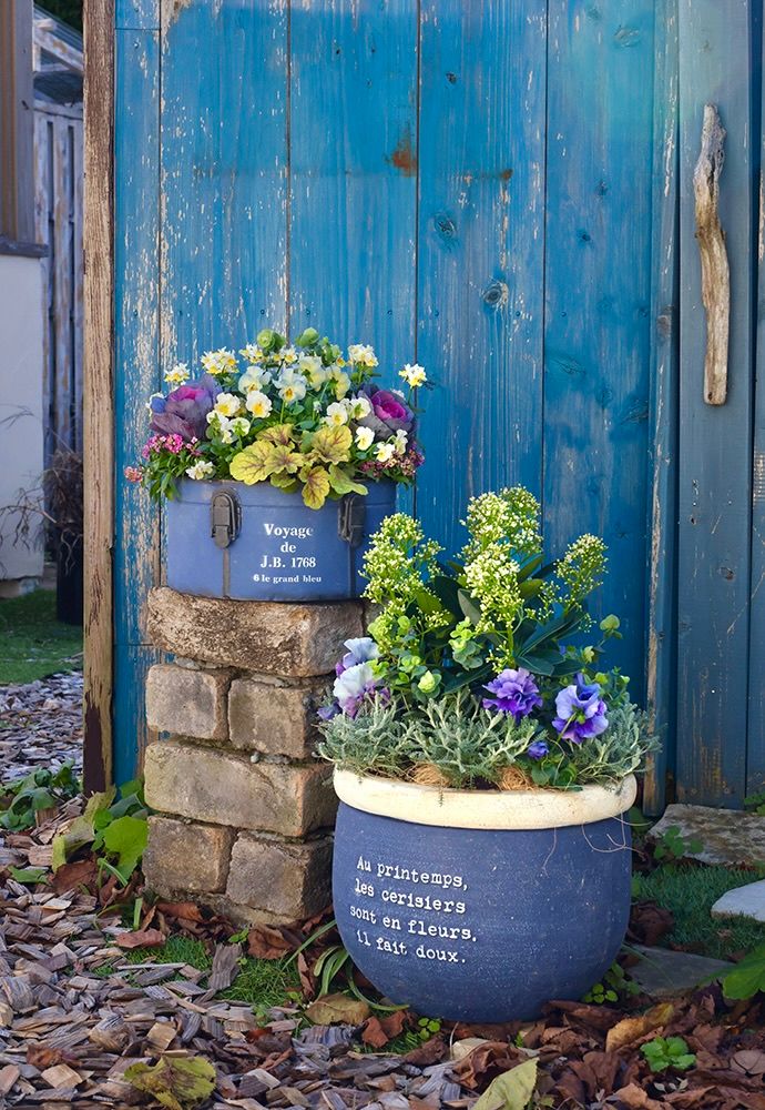 コンテナガーデン