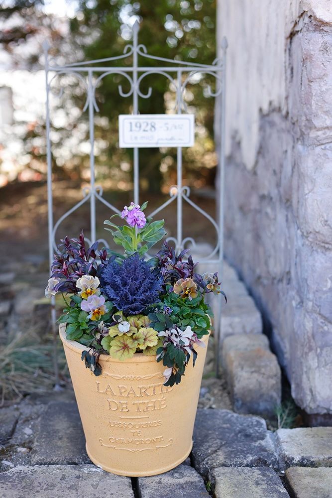 ダークカラーの寄せ植え