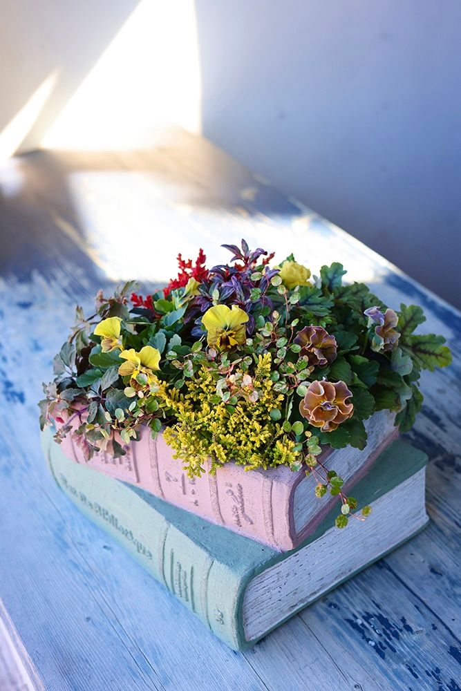 ブック型寄せ植え