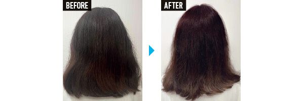 たっぴろー（31歳）がお試し