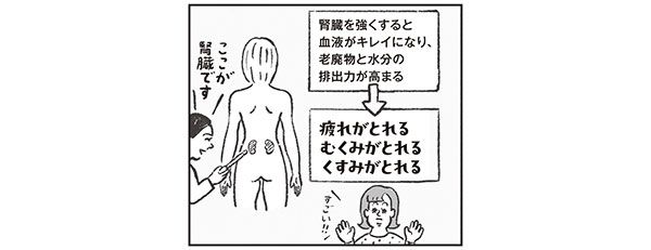腎臓を強くすると血液がキレイになり、老廃物と水分の排出力が高まる→疲れがとれる。むくみがとれる。くすみがとれる