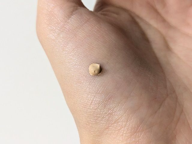 ディセンシアの写真