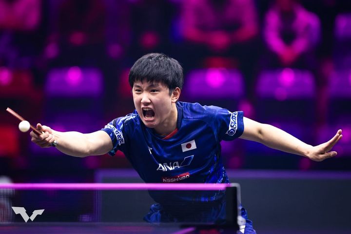 張本智和（C）WTT