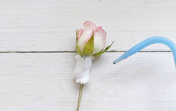 カット綿で吸水