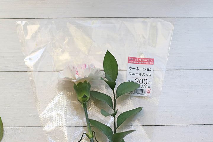 カーネーションとマルバルスカス