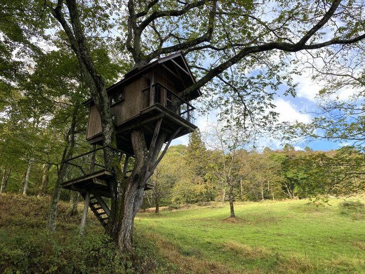 心も身体もポカポカ、長野県北安曇「華密恋の湯」の濃厚カミツレ入浴剤【旅するデザイナーがおすすめするお土産たち！】