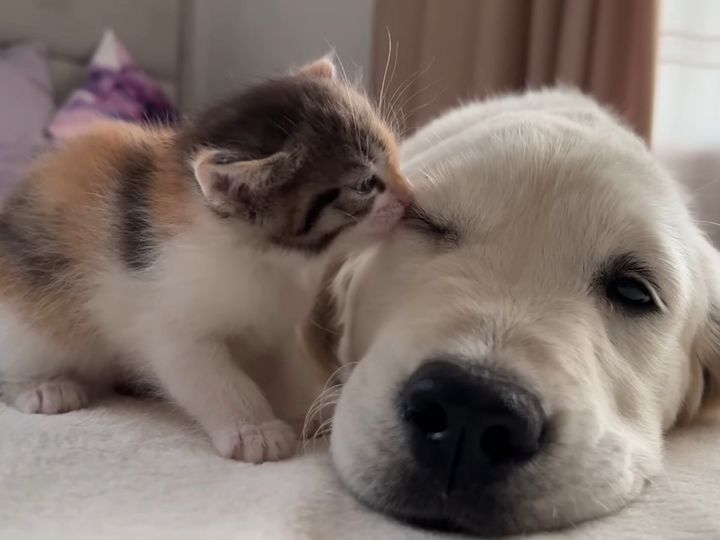 かわいすぎる触れ合い…！