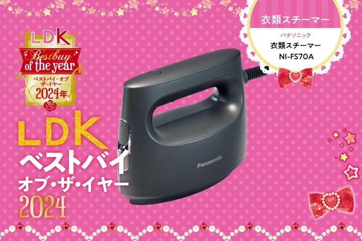 パナソニック NI-FS70A-C スチームクリーナー 衣類スチーマー NI-FS70A