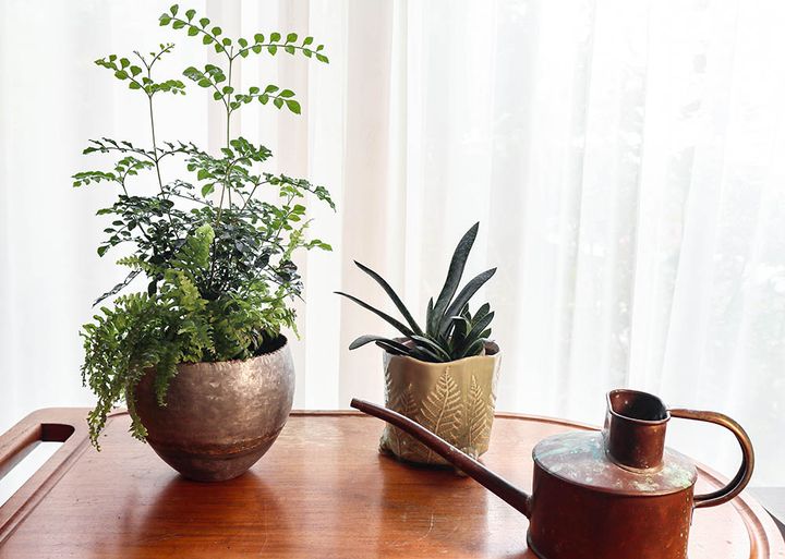 イギリスの鉢カバー