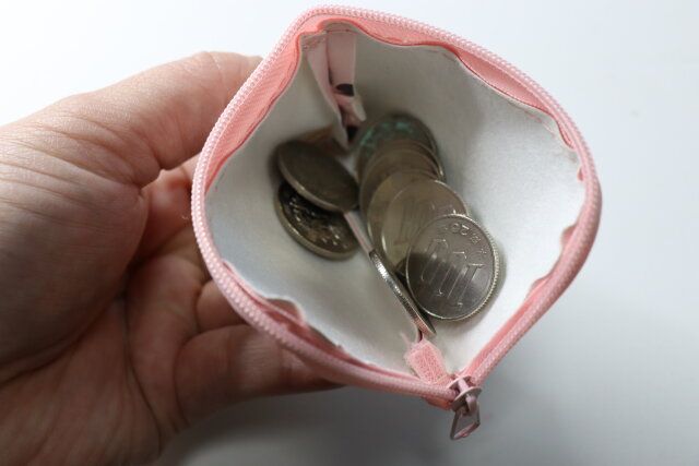 セリア ＜101＞キーホルダー付き L字ファスナーポーチ 使用例 小銭