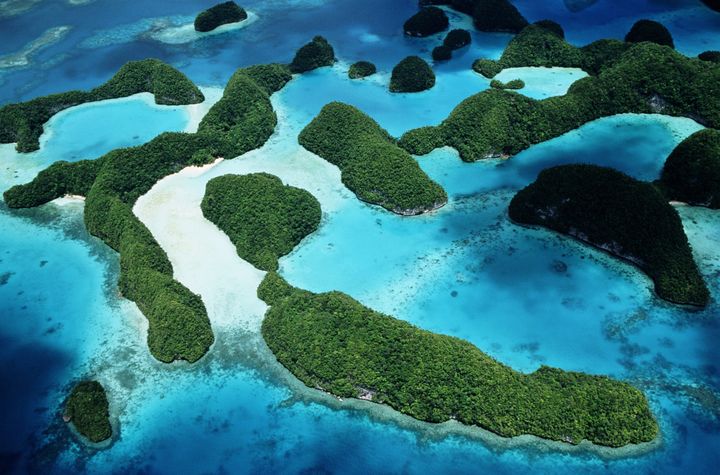 Photo_ B. Tanaka/Getty