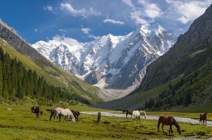 Photo_ Belkina Natalia/Getty