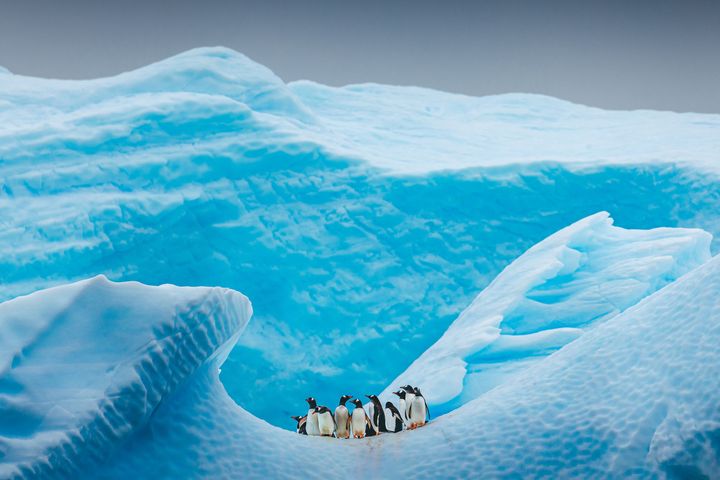 Photo_ David Merron/Getty