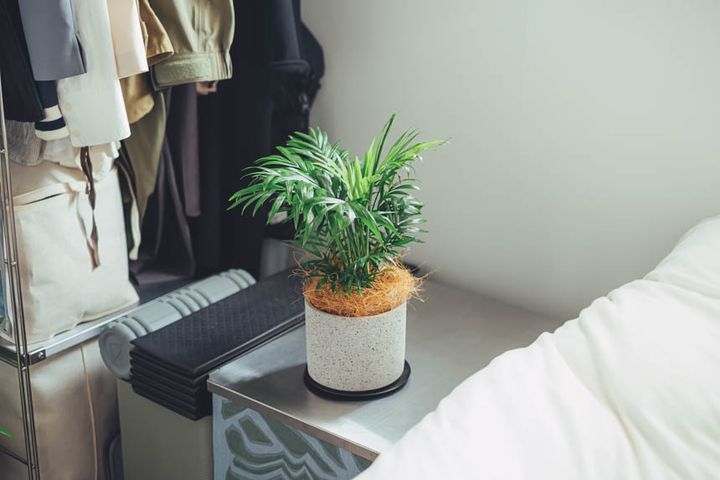 20㎡台のお部屋は収納がポイント。真似したくなるインテリア3選