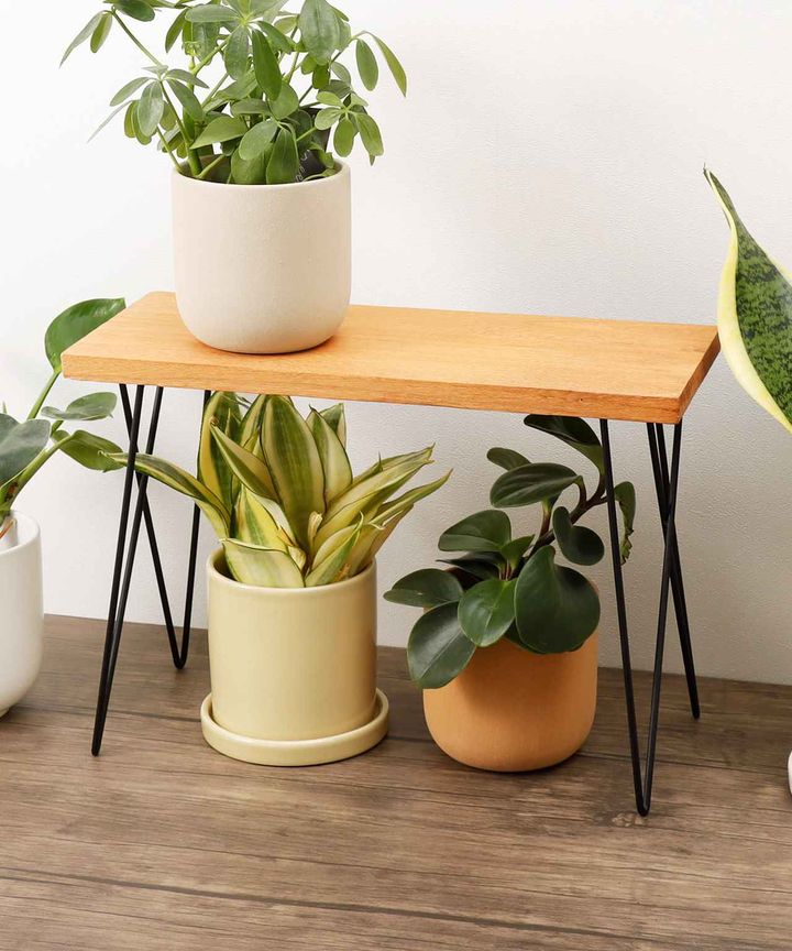 画像2: 出典：3COINS