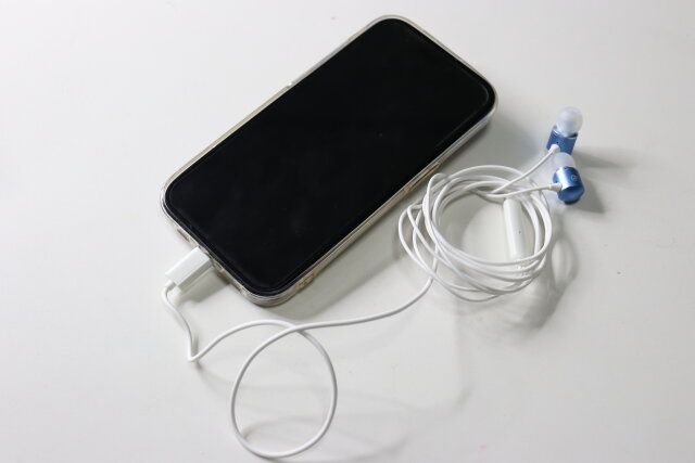 ダイソー Type-Cイヤホン（マイク付、003） 使用例