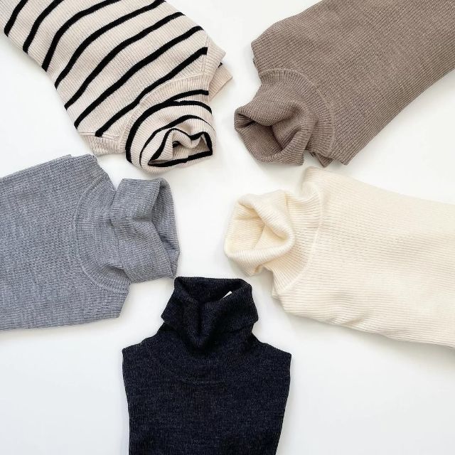 5種類のエクストラファインメリノリブタートルネックセーター