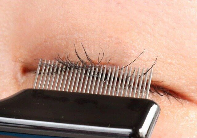 ダイソー UGT アイラッシュコーム 08c 使用例