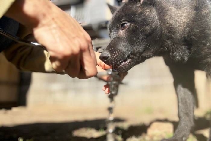 くるくるワンワンの設置