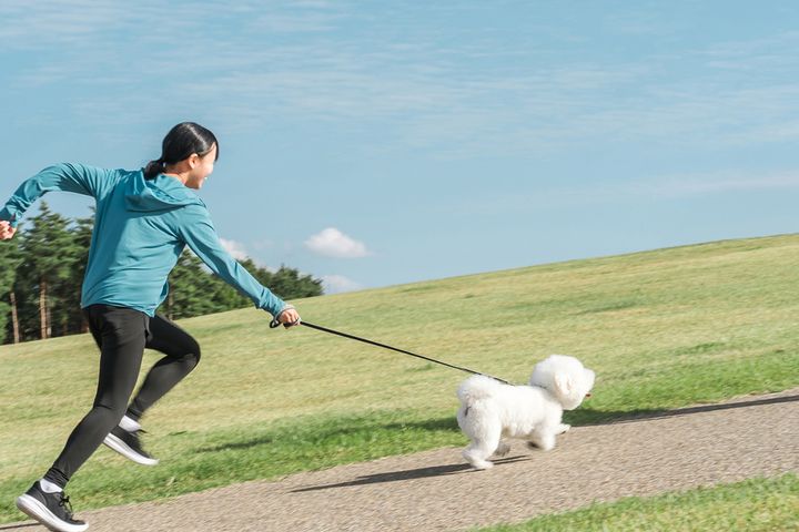 かわいいワン！