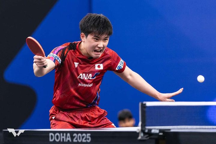 張本智和（C）WTT