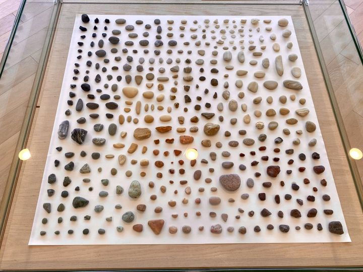 大阪土産のニュースタンダード！焼き芋屋さんが作る本気の芋ケンピ「ニューケンピ」【旅するデザイナーがおすすめするお土産たち！】