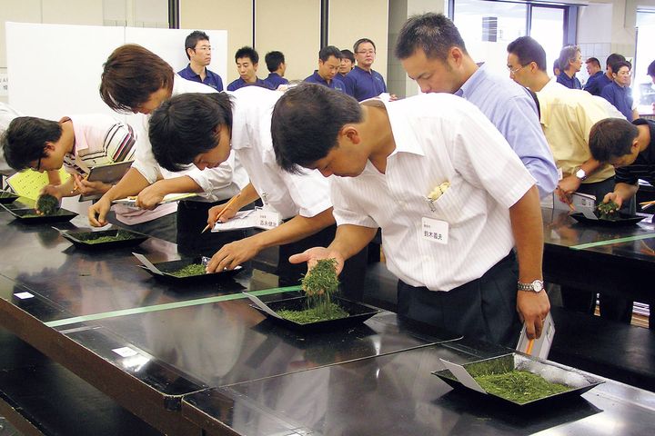 全国茶審査技術競技大会の様子