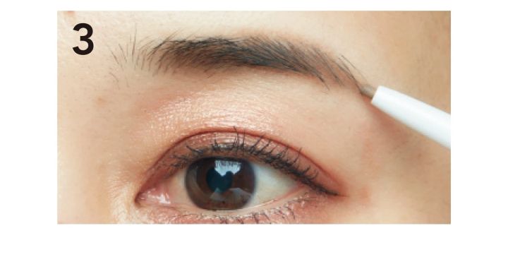 ３眉全体が増えて見えるようにDの左端の色を全体にのせる。眉尻はCのペンシルで描き足して。