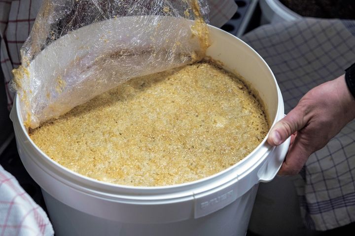 発酵中のルピナス豆の味噌