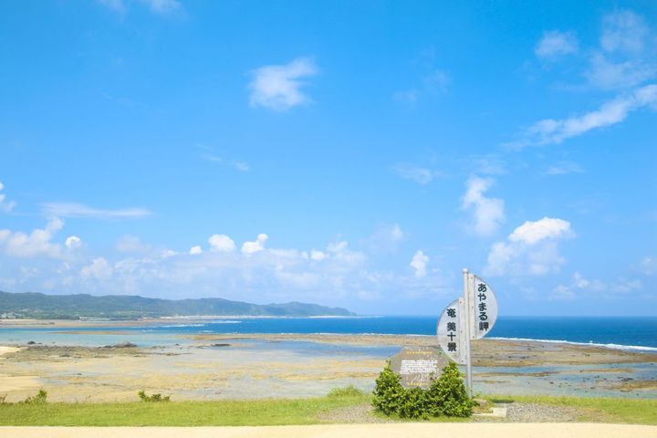 高台から望む遠浅の海の絶景