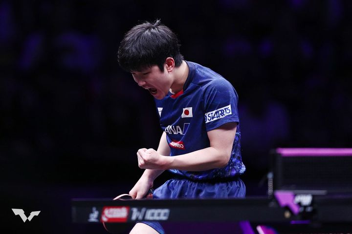 張本智和（C）WTT